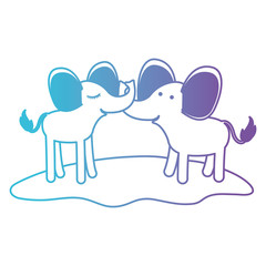 elephants couple over grass in degraded blue to purple color contour vector illustration