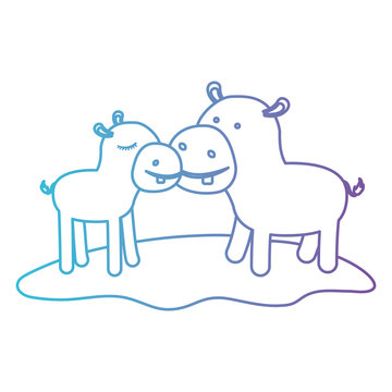 hippopotamus couple over grass in degraded blue to purple color contour vector illustration