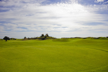 Fototapeta na wymiar Golf course in Belek. Green grass on the field. Blue sky, sunny day
