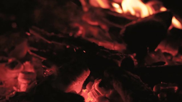 Close up of blazing campfire.
