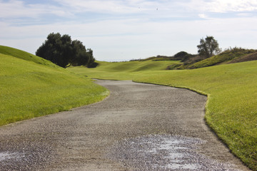 Golf course in Belek. Green grass on the field.