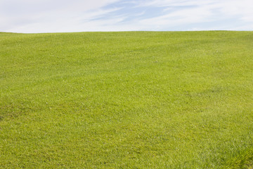 Golf course in Belek. Green grass on the field. Blue sky, sunny day
