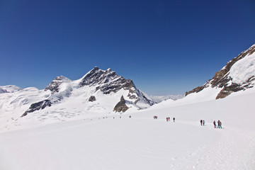 Obraz premium Swiss alps