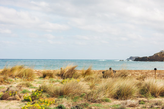 October trip to Menorca
