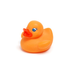 Yellow rubber duck on white