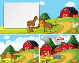 Scenes with horses in farmyard