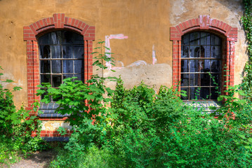 Fensterin einer alten Fassade