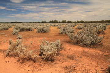 Impressions of australian outback