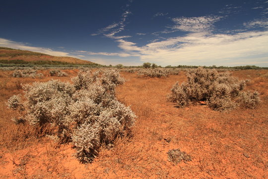 Impressions of australian outback