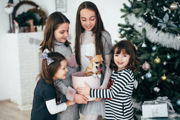 Four girls are standing by the fir-trees and looking at the gifts