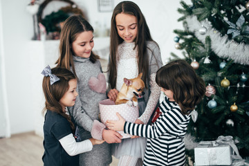 Four girls are standing by the fir-trees and looking at the gifts