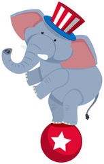 Circus elephant on red ball