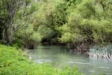 by the river