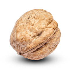 whole walnut isolated on white background. clipping path