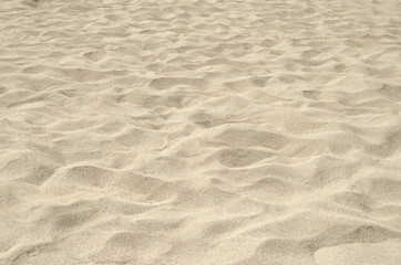 Naklejka na ściany i meble Sand on a beach