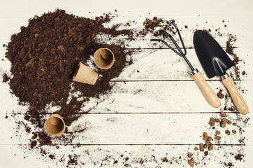 Gardening tools top view on white wooden planks background with copy space around products. Border with place for text. Gardening or planting concept seen from above. Working in a clean indoor garden.