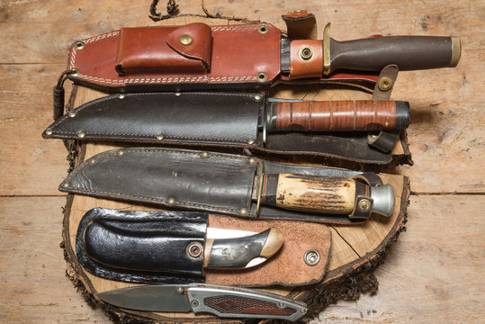 different hunting knives in sheath on a tree stump top view