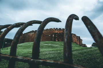 Fototapeta premium Bars