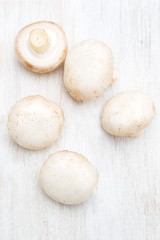 Champignons on a white wooden board. Vertical photo