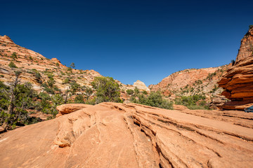 Landscape in Zion National Park