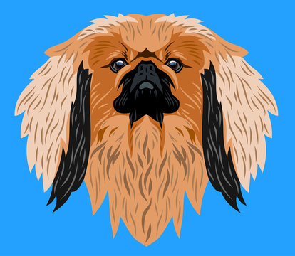 recommend clip art: Portrait of a Pekingese