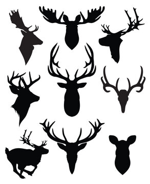 Set of silhouettes of horned deer