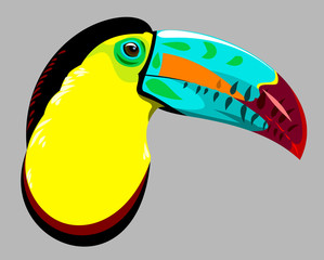Portrait of a multi-colored, exotic bird Toucan