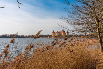 Castle Moritzburg near Dresden