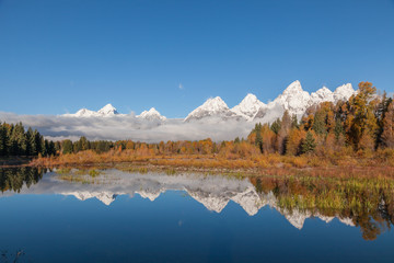 Fototapeta na wymiar Scenic Autumn Reflection in the Tetons