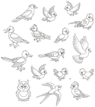 Black and white vector set of birds in cartoon style
