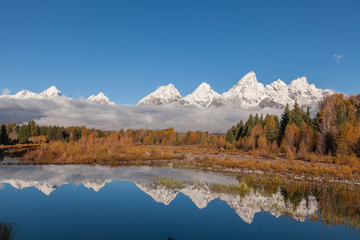 Scenic Autumn Reflection in the Tetons