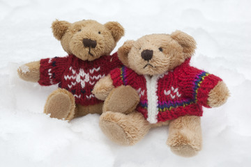 Teddy Bears in the Snow