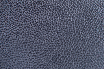 Blue coarse-grained leather close-up. Fragment of blue leather...