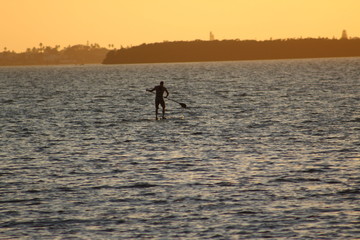 Man paddleboarding at sunset