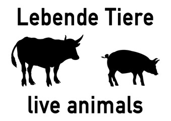 ws25 WarnSign - german: Beschilderung: Lebende Tiere / Viehtransport - Rinder - Schweine - english: live animals - livestock transportation - bovine - pigs - DIN A0 A1 A2 A3 - white xxl g5707