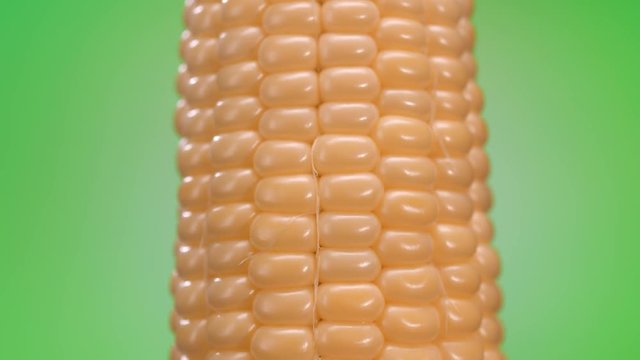 Vertical corn cob rotating on green background