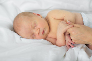 The newborn falls asleep in the mother's hands.