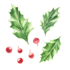 Watercolor hand drawn Christmas clip-art, holly green leaves and red berries, isolated on white background. Winter holidays festive botanical illustration.