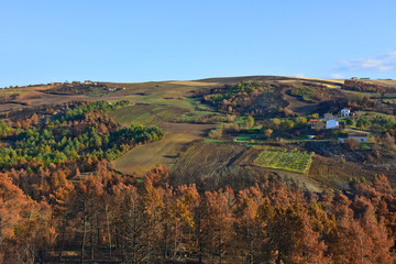 Italia, tipiche colline coltivate dei monti Appennini. Paesaggio 4