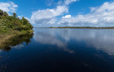 Tropical landscape of the Brazilian coast