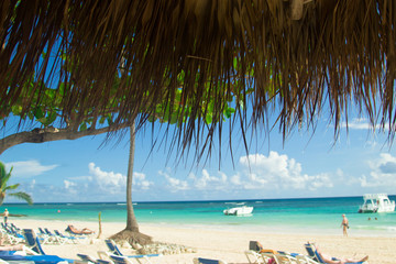 Fototapeta na wymiar Beach in Punta Cana, Dominican Republic.