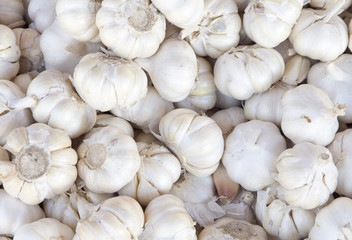 White garlic pile texture. Fresh garlic on market table closeup photo.