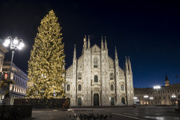 Fototapeta na wymiar Christmas tree in front of Milan cathedral, Duomo square in december, night view.