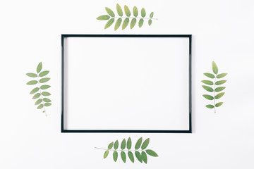 Empty frame for text and plant twigs