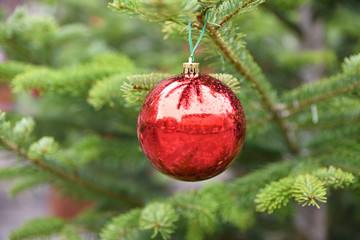 Boule de Noël rouge scintillante dans sapin vert