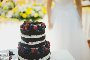 Obraz na płótnie Canvas Wedding Cake with fruits on table