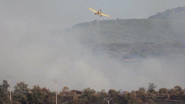 Hydroplane flying dumping water over wild fire