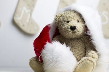 Teddy bear Christmas time
