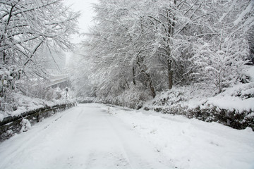 Empty mud and slip street in the winter
