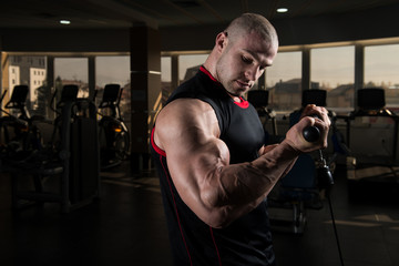 Man Exercising Biceps In The Gym